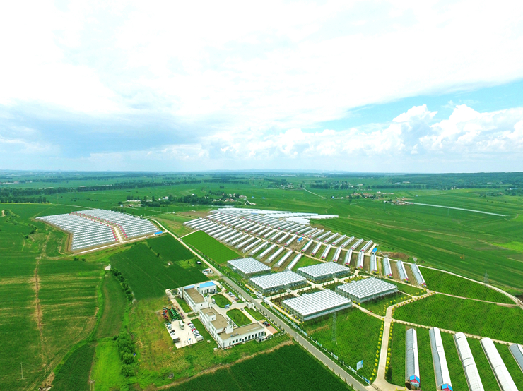 奢岭基地_副本.jpg 奢岭基地_副本.jpg