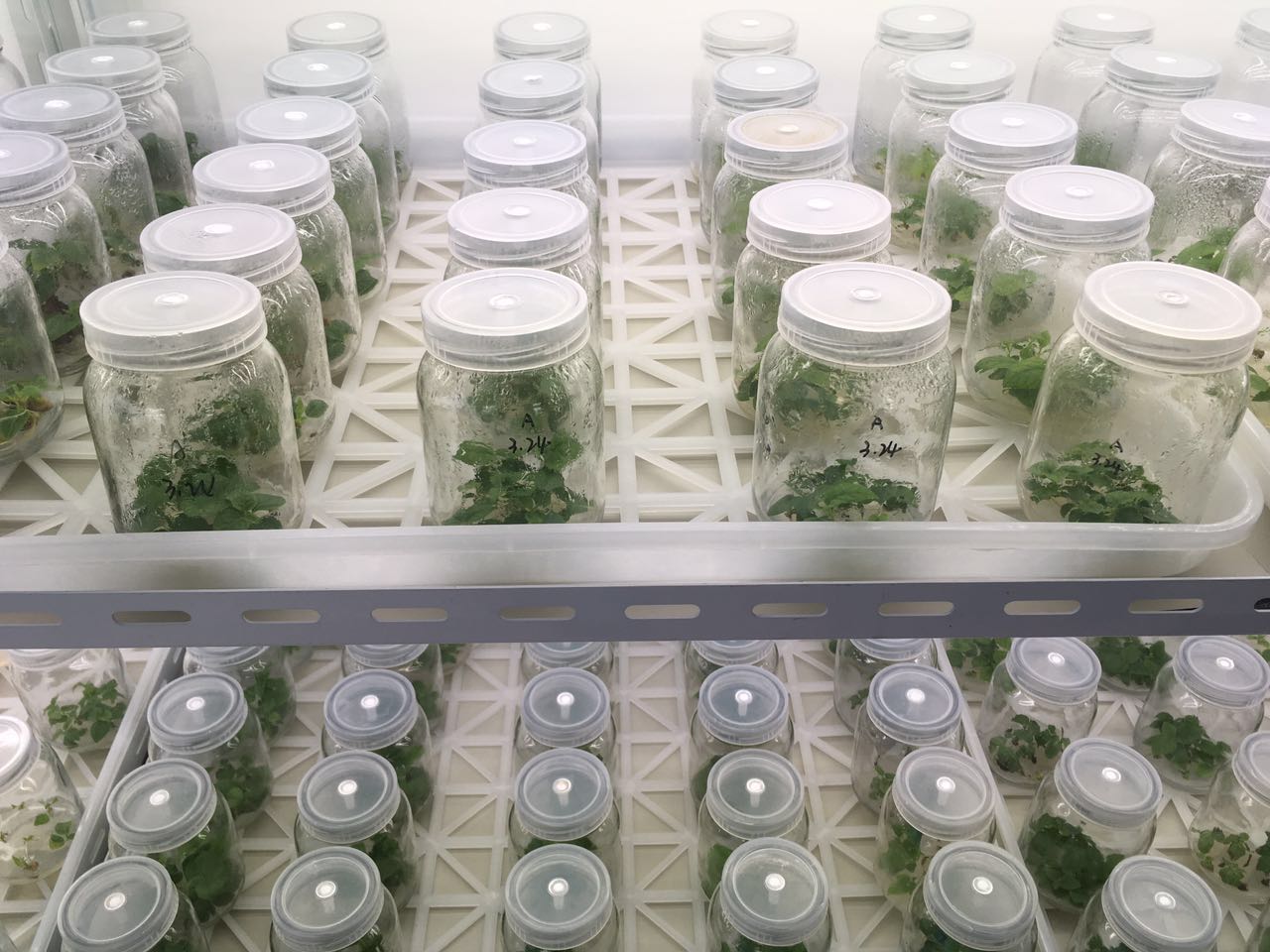 342571646846256834.jpg 342571646846256834.jpg