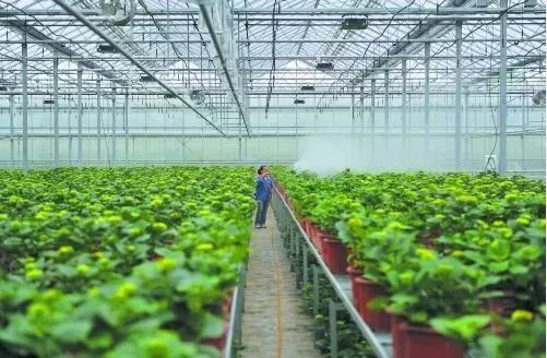 微信图片_20180302135000.jpg 微信图片_20180302135000.jpg