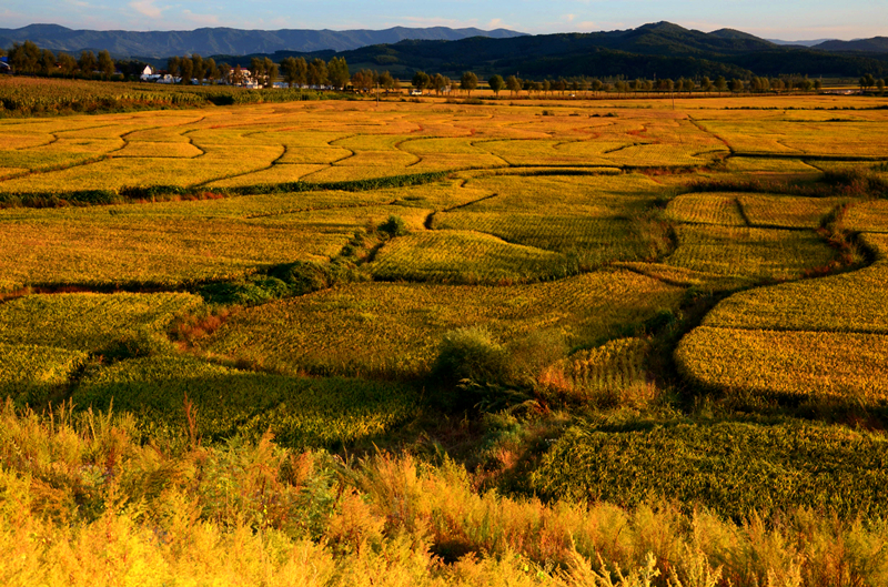 DSC_0800_副本_副本.jpg DSC_0800_副本_副本.jpg