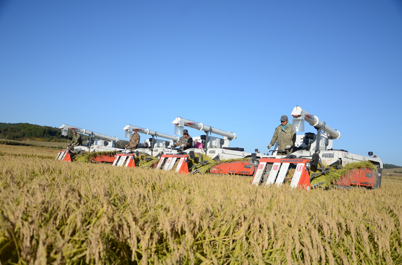 DSC_4116_副本.jpg DSC_4116_副本.jpg