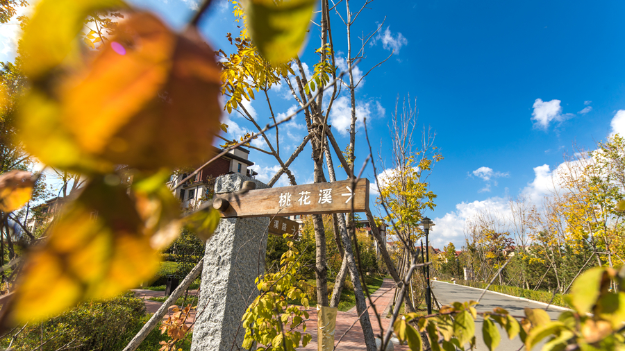 南山园区照片 (14)_副本.jpg 南山园区照片 (14)_副本.jpg