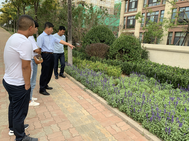 20.园林公司赴威海考察壹品南山项目.jpg 20.园林公司赴威海考察壹品南山项目.jpg