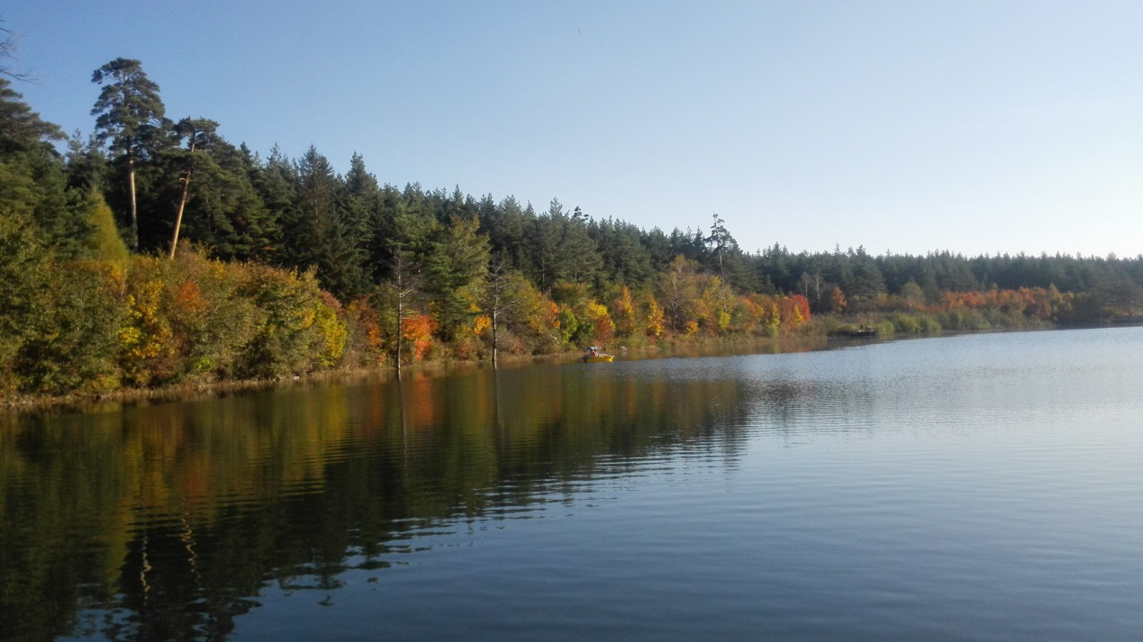 图片9.png 图片9.png