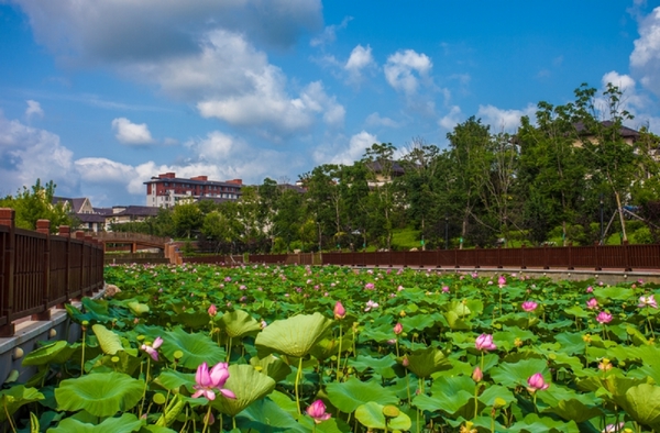 图片15.jpg 图片15.jpg