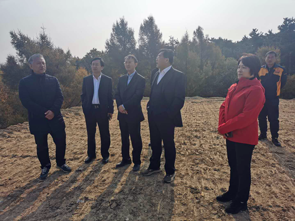 27.王岩董事长视察项目工地情况_副本.png 27.王岩董事长视察项目工地情况_副本.png