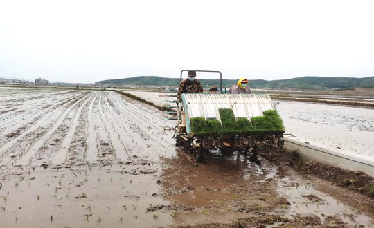 14 线上最火买球站农业水稻插秧现场_副本.png 14 线上最火买球站农业水稻插秧现场_副本.png