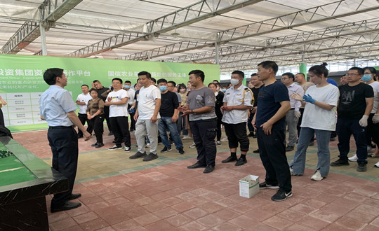 3.南山总公司员工中秋礼品装箱工作现场_副本.jpg 3.南山总公司员工中秋礼品装箱工作现场_副本.jpg