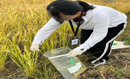 1667618389680_副本.png 1667618389680_副本.png