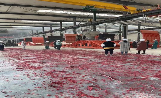 5.装配式总公司首次塔筒构件浇筑现场_副本.jpg 5.装配式总公司首次塔筒构件浇筑现场_副本.jpg