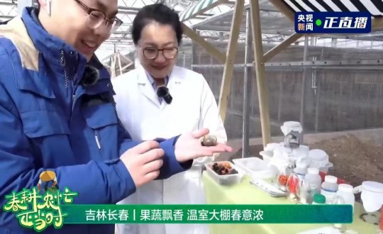 11.中央电视台《央视新闻》栏目在农业总公司奢岭果蔬基地进行直播_副本.jpg 11.中央电视台《央视新闻》栏目在农业总公司奢岭果蔬基地进行直播_副本.jpg