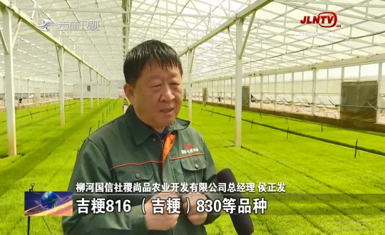 21.农业总公司水稻基地经理侯正发接受吉林卫视采访_副本.jpg 21.农业总公司水稻基地经理侯正发接受吉林卫视采访_副本.jpg