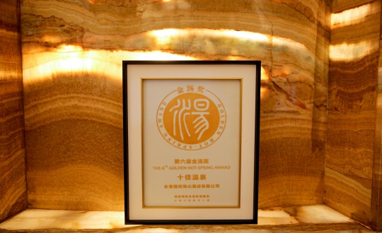 44.酒店公司荣获第六届金汤奖_副本.jpg 44.酒店公司荣获第六届金汤奖_副本.jpg