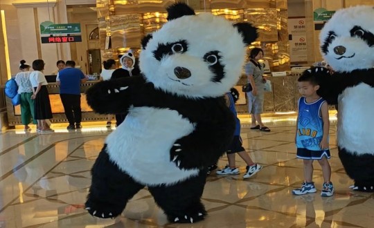 27.酒店公司暑期特别企划熊猫人偶互动现场_副本.jpg 27.酒店公司暑期特别企划熊猫人偶互动现场_副本.jpg