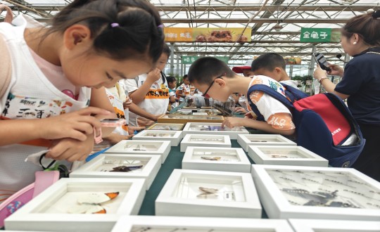 20.新东方研学学子参观农业总公司昆虫标本_副本.jpg 20.新东方研学学子参观农业总公司昆虫标本_副本.jpg