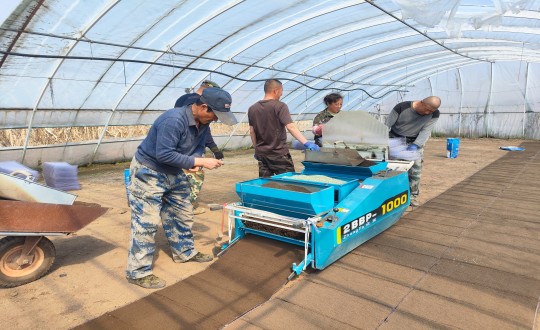 17.农业总公司水稻基地育苗现场_副本.jpg 17.农业总公司水稻基地育苗现场_副本.jpg