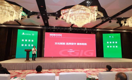 11.李琼华总经理在会上发言_副本.jpg 11.李琼华总经理在会上发言_副本.jpg