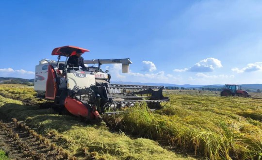 22.柳河姜家店“社稷尚品火山岩大米”收割现场_副本.jpg 22.柳河姜家店“社稷尚品火山岩大米”收割现场_副本.jpg